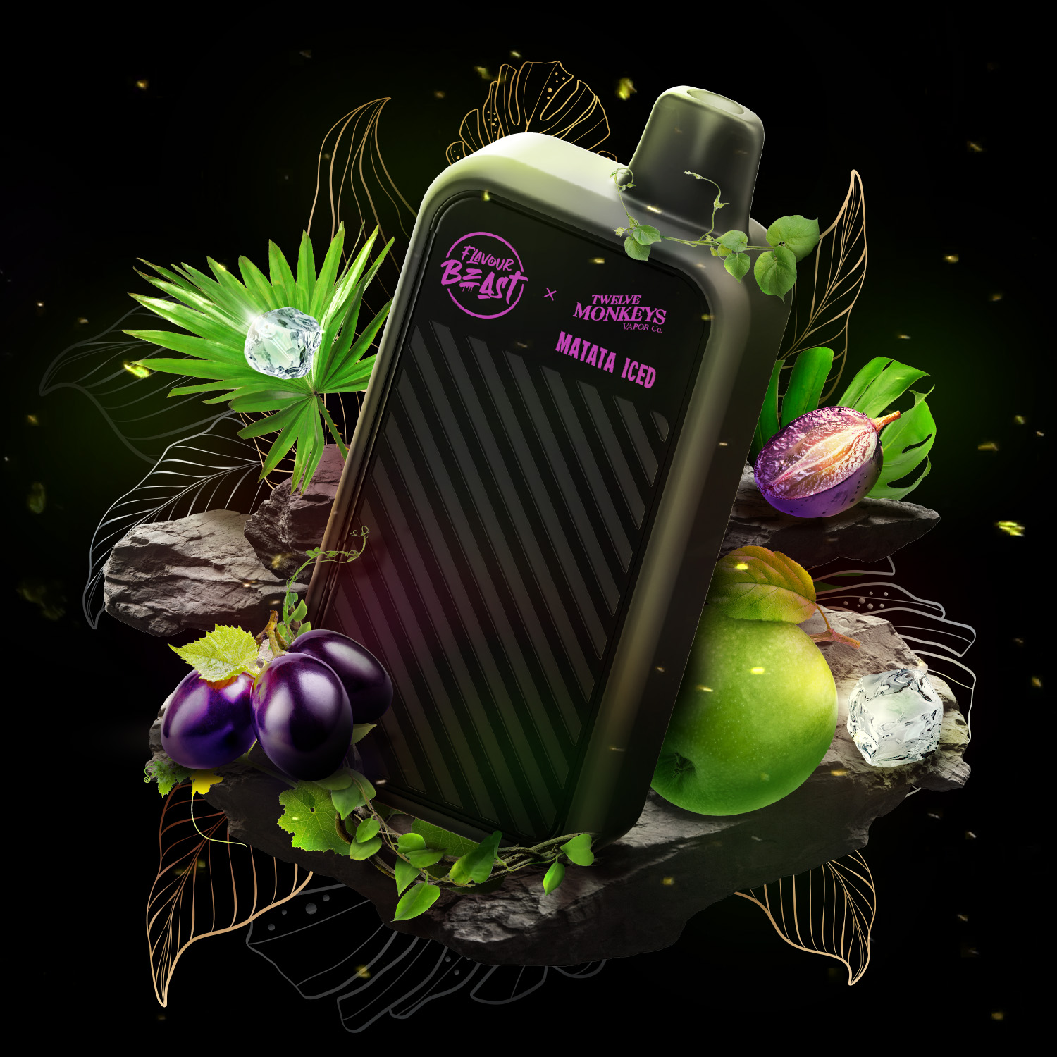 BeastMode Max 2x12M_Oct2025_Matata Iced